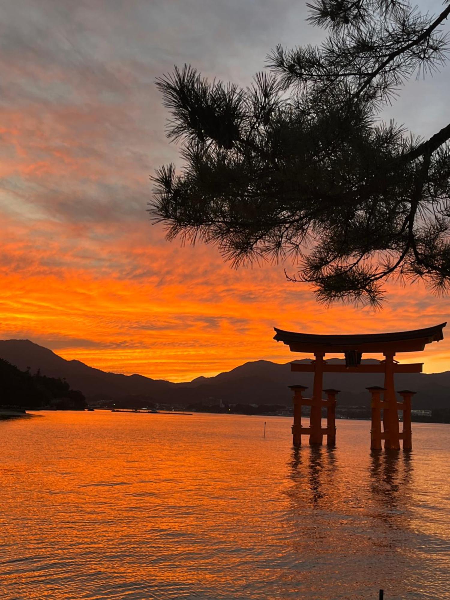 宮島 町家宿 進龍庵 Hatsukaichi Bagian luar foto