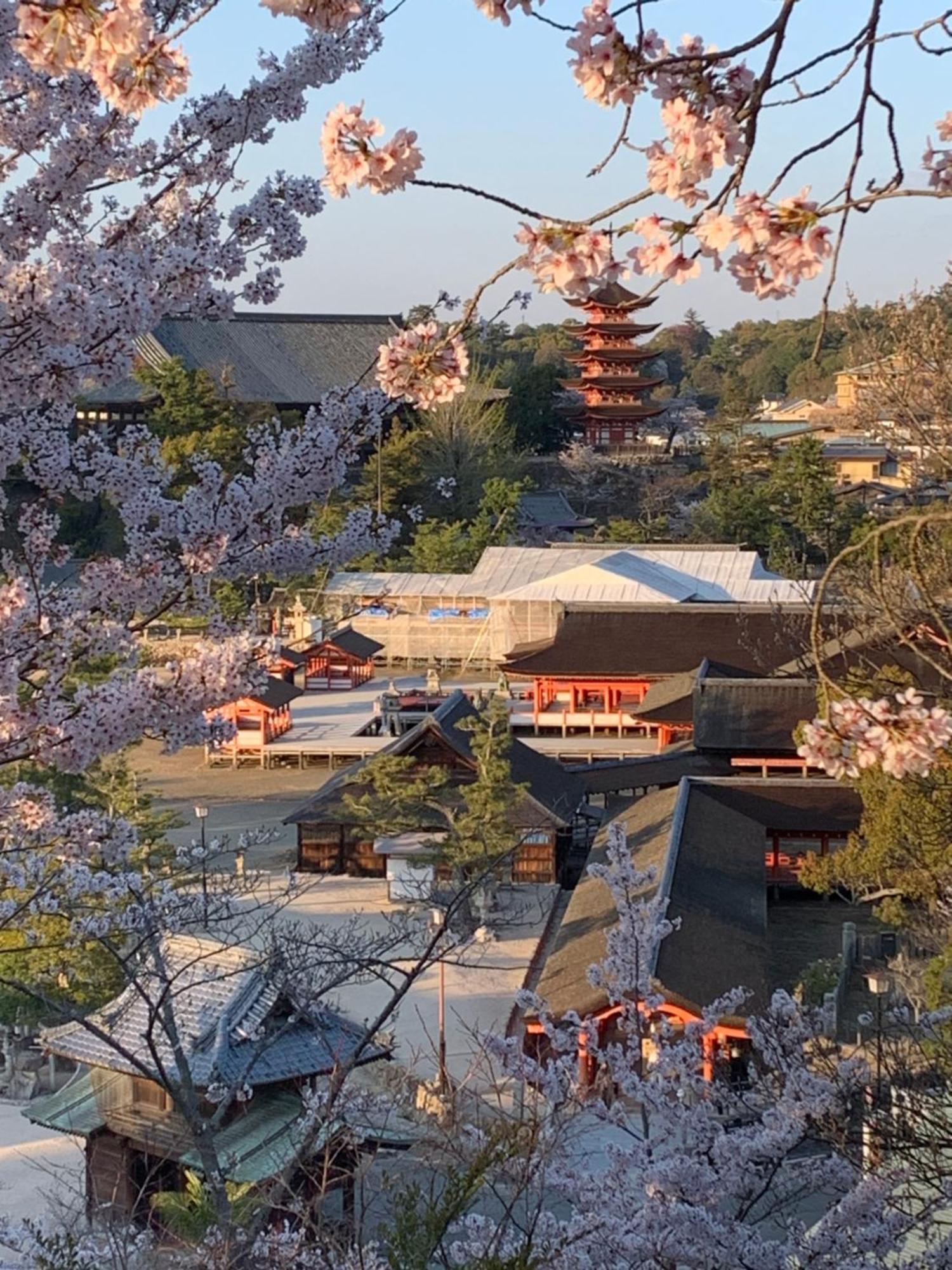 宮島 町家宿 進龍庵 Hatsukaichi Bagian luar foto